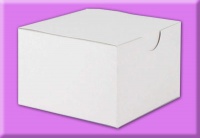 High Gloss Tuck Rectangle Top Boxes White