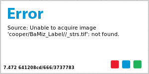 Stripe Star Rectangle Bat Mitzvah Label