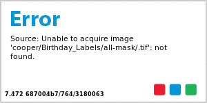 Flag Birthday Water Bottle Labels 7x1.875