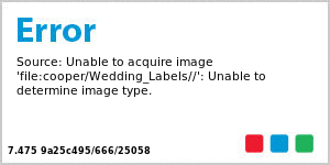 Classical Large Vertical Rectangle Wedding Labels 2x6.25