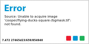 Custom Flying Ducks Large Square Food & Craft Label