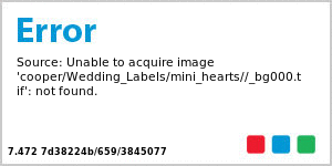 Mini Hearts CD/DVD Wedding Labels