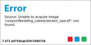 Winter Wonderland Horizontal Small Rectangle Wedding Labels