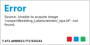 Winter Wonderland Large Diamond Wedding Label 3x3