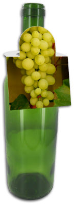 Photo Square Wine Bottle Tags