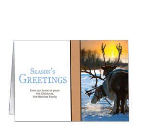 Christmas Season's Greetings Reindeer at Sunset Cards  7.875" x 5.50" w-envelope