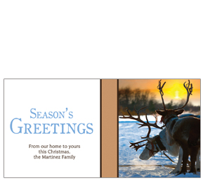 Christmas Season's Greetings Reindeer at Sunset Cards  8" x 4" w-envelope