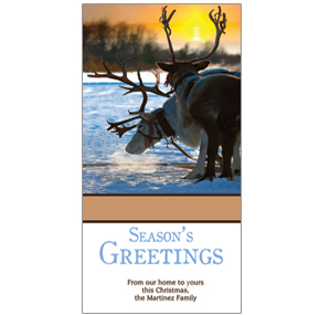 Christmas Season's Greetings Reindeer at Sunset Cards  4" x 8" w-envelope