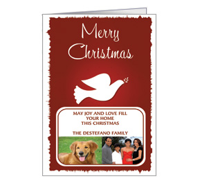 Christmas Dove Family Style Card with photo and Envelope 5.50" x 7.875"