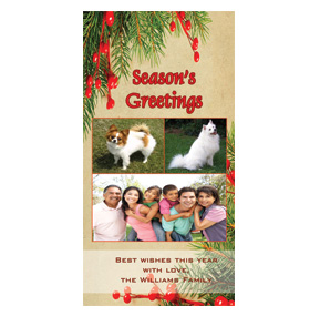 Seasons Greetings Mistletoe Holiday Cards 4" x 8"