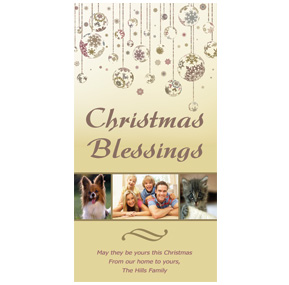 Christmas Card w-Envelope 4" x 8" Christmas Blessing Small Ornaments Family Style