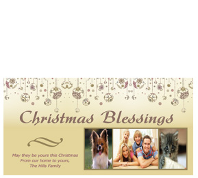 Christmas Card w-Envelope 8" x 4" Christmas Blessing Small Ornaments Family style