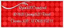 Christmas Happy New Year Address Labels