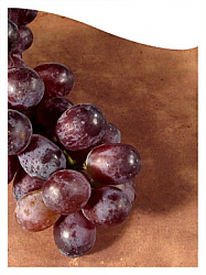 Photo Rectangle Wine Label 2.75x3.75