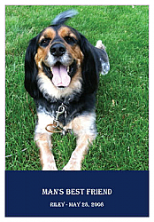 Rectangle Pets Photo with Text Labels