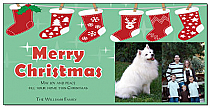 Row of Shimmering Stockings Two Photo Upload Christmas Card w-Envelope 8" x 4" family style