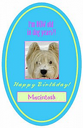 Oval Dog Birthday Label