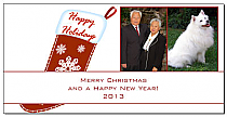 Holiday Snowflake Stocking Family Photos Christmas Card w-Envelope 8" x 4" family style