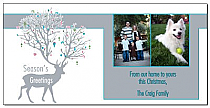 Christmas Season's Greetings Reindeer at Sunset Cards with multiple photo 8" x 4" w-envelope