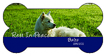 Bone Pets Photo with Text Labels 4x2