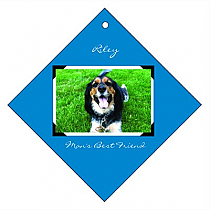 Diamond Pets Scrapbook Favor Tag 2x2