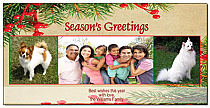 Christmas Seasons Greetings Holiday Mistletoe Cards with multiple photo 8" x 4"  w-envelope