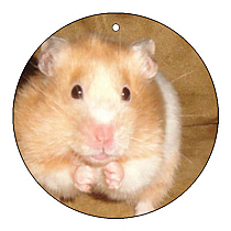 Big Circle Pets Photo Favor Tag 2x2