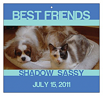 Big Square Pets Friend Favor Tag 3.5x3.25