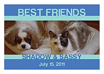 Horizontal Rectangle Pets Friend Labels 2.75x1.875