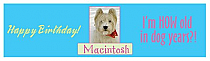 Dog Birthday Water Bottle Labels