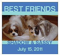 Big Square Pets Friend Labels 3.5x3.25