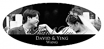 Big Oval Special Occasion Photo Labels With Text