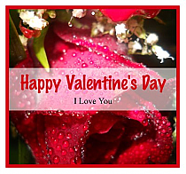 Photo Valentine Big Square Favor Tag 3.5x3.25