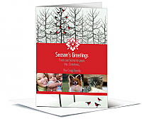 Caroling Christmas Birds Cards with multiple photo 5.50" x 7.875" w-envelope