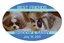 Horizontal Oval Pets Friend Labels 2.25x3.5