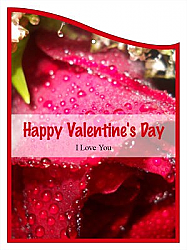 Photo Valentine Curved Wine Favor Tag 2.75x3.75