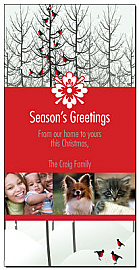 Caroling Christmas Birds Cards with multiple photo 4" x 8" w-envelope