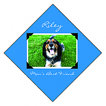 Diamond Pets Scrapbook Labels 2x2