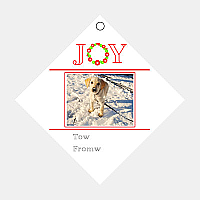 Joy Diamond Hang Tag