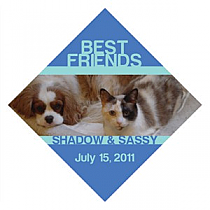 Diamond Pets Friend Labels 2x2