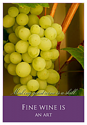 Rectangle Wine Photo Labels Text