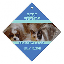 Diamond Pets Friend Favor Tag 2x2