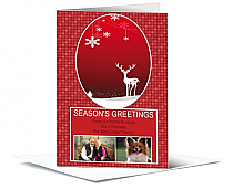 Patterned Christmas Reindeer Cards with multiple photo 5.50" x 7.875" w-envelope