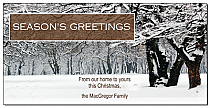 Christmas Seasonal Snow Covered Trees Cards  8" x 4" w-envelope