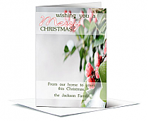 Christmas Snowy Holly Berries Cards  5.50" x 7.875" w-envelope 