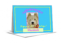 Dog Birthday Note Card