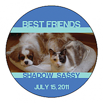 Friend Circle Pets Coasters