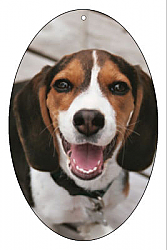 Vertical Oval  Pets Photo Favor Tag 2.25x3.5