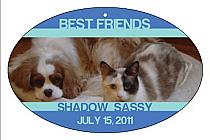 Horizontal Oval  Pets Friend Favor Tag 2.25x3.5