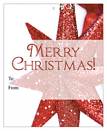 Big Rectangle Christmas Star Christmas To From Hang Tag